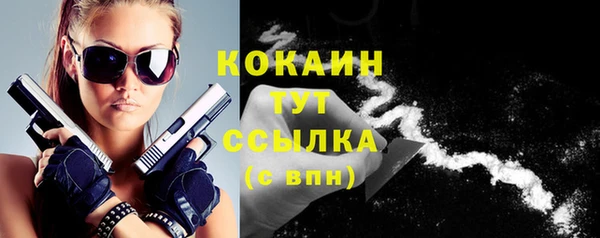 apvp Коряжма
