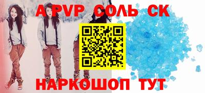 индика Камышлов