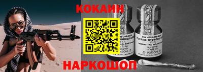 индика Камышлов