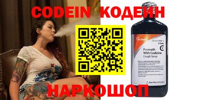 индика Камышлов