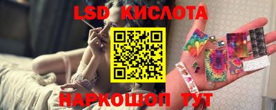 индика Камышлов