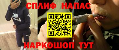 индика Камышлов
