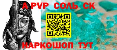 индика Камышлов