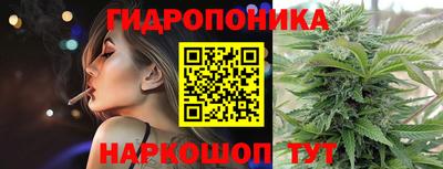 индика Камышлов