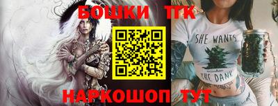 индика Камышлов