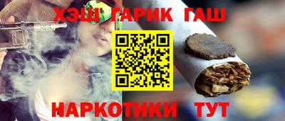 индика Камышлов