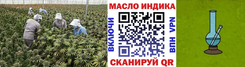 ТГК концентрат Элиста