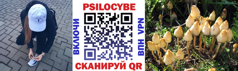 Галлюциногенные грибы мицелий  Элиста 