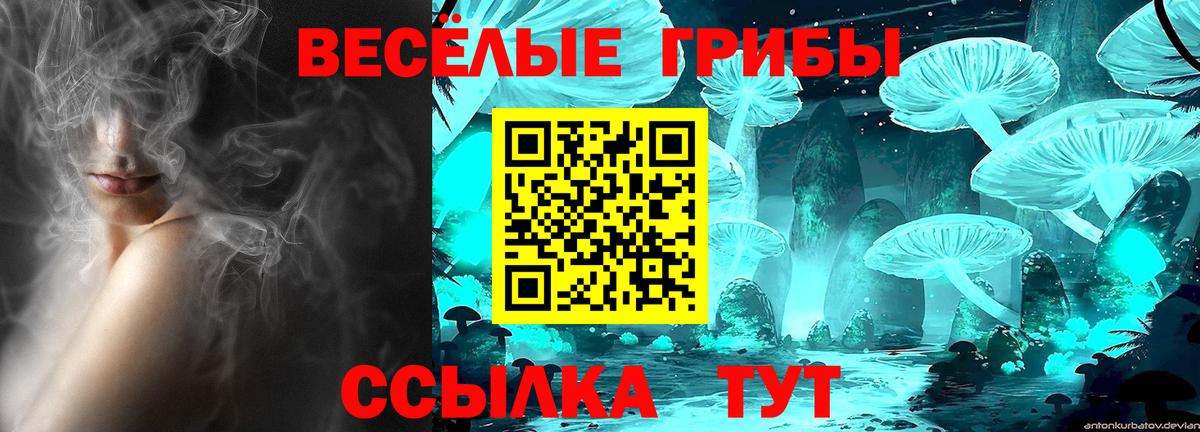 Элиста  Псилоцибиновые грибы GOLDEN TEACHER  Вход с VPN  где можно купить   Псилоцибиновые грибы мухоморы 